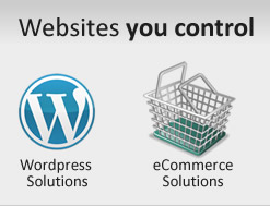 Websites you control
